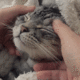 https://upforme.ru/uploads/0017/2a/64/6/762284.gif