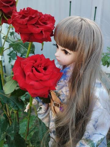 https://upforme.ru/uploads/0017/30/f2/56/t66123.jpg