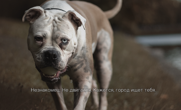 https://upforme.ru/uploads/0017/50/9c/4/787841.png