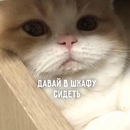 https://upforme.ru/uploads/0017/9f/d6/123/422843.jpg