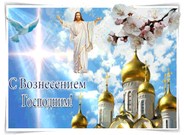 https://upforme.ru/uploads/0017/a0/a2/137/t730005.gif