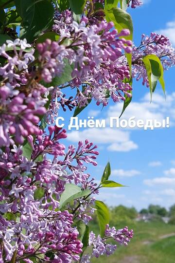 https://upforme.ru/uploads/0017/a0/a2/394/t503645.jpg