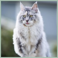 https://upforme.ru/uploads/0017/a5/fb/168/359795.jpg