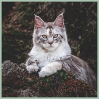 https://upforme.ru/uploads/0017/a5/fb/168/867482.jpg