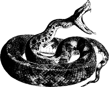 https://upforme.ru/uploads/0017/a5/fb/28/t240309.png