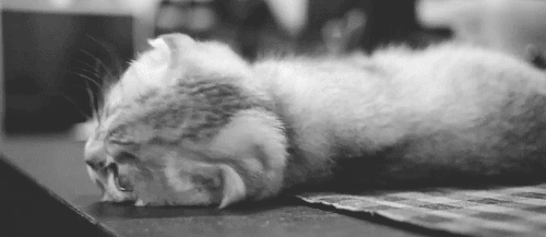 https://upforme.ru/uploads/0017/a8/43/2/926365.gif