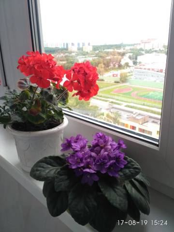 https://upforme.ru/uploads/0017/a8/51/102/t22960.jpg
