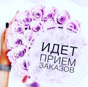 https://upforme.ru/uploads/0017/a8/51/526/t455625.jpg