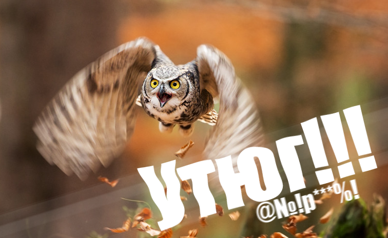 https://upforme.ru/uploads/0017/aa/81/108/31497.png