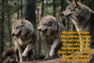 https://upforme.ru/uploads/0017/aa/81/281/t465119.jpg