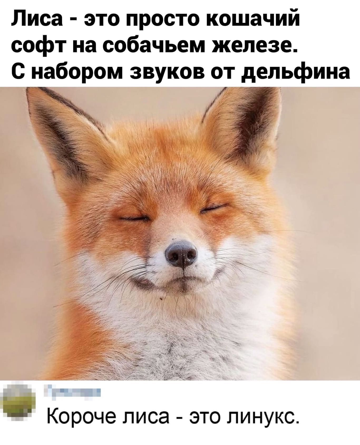 https://upforme.ru/uploads/0017/aa/81/299/839781.jpg