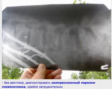 https://upforme.ru/uploads/0017/bf/e6/2/t507801.jpg