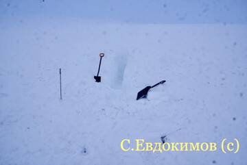 https://upforme.ru/uploads/0017/bf/e6/2/t625145.jpg