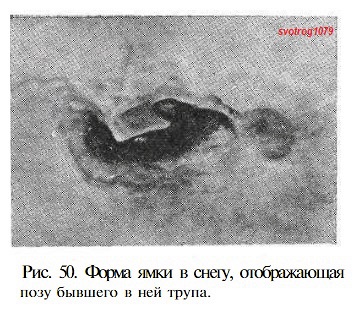 https://upforme.ru/uploads/0017/bf/e6/47/421909.jpg