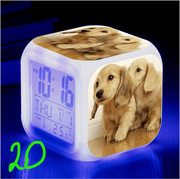 https://upforme.ru/uploads/0017/c2/c0/171/t110397.png