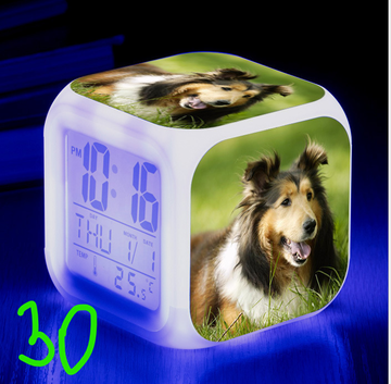 https://upforme.ru/uploads/0017/c2/c0/171/t176061.png