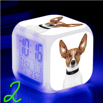 https://upforme.ru/uploads/0017/c2/c0/171/t179928.png