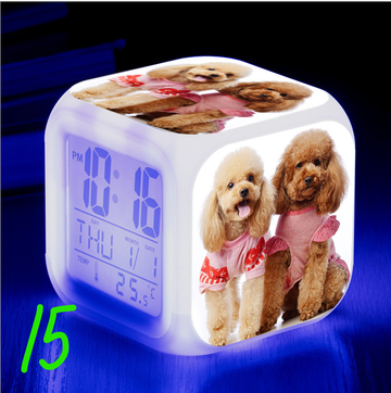 https://upforme.ru/uploads/0017/c2/c0/171/t19578.png