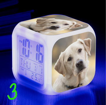 https://upforme.ru/uploads/0017/c2/c0/171/t204352.png