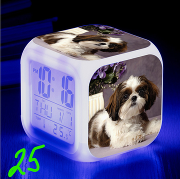 https://upforme.ru/uploads/0017/c2/c0/171/t244751.png