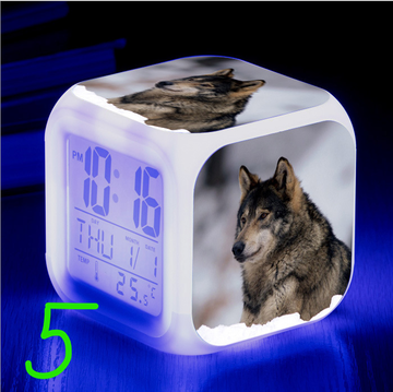 https://upforme.ru/uploads/0017/c2/c0/171/t25504.png