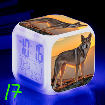 https://upforme.ru/uploads/0017/c2/c0/171/t31946.png