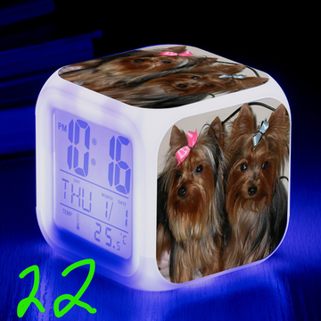 https://upforme.ru/uploads/0017/c2/c0/171/t327969.png