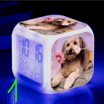 https://upforme.ru/uploads/0017/c2/c0/171/t340364.png