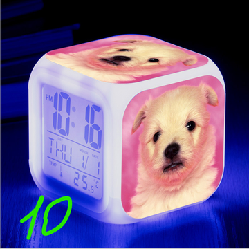https://upforme.ru/uploads/0017/c2/c0/171/t359102.png
