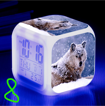 https://upforme.ru/uploads/0017/c2/c0/171/t477831.png