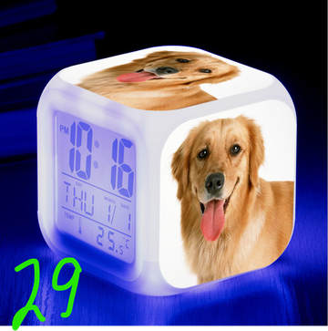 https://upforme.ru/uploads/0017/c2/c0/171/t537391.png