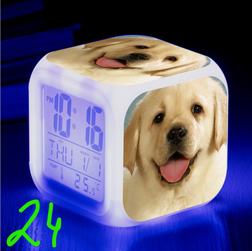 https://upforme.ru/uploads/0017/c2/c0/171/t684608.png