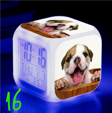 https://upforme.ru/uploads/0017/c2/c0/171/t73969.png