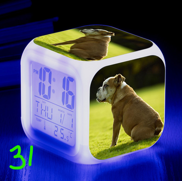 https://upforme.ru/uploads/0017/c2/c0/171/t770961.png