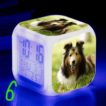https://upforme.ru/uploads/0017/c2/c0/171/t79813.png