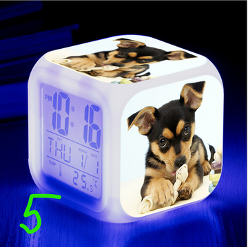 https://upforme.ru/uploads/0017/c2/c0/171/t890331.png