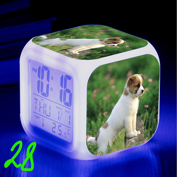 https://upforme.ru/uploads/0017/c2/c0/171/t929550.png