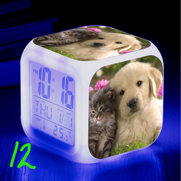 https://upforme.ru/uploads/0017/c2/c0/171/t952997.png
