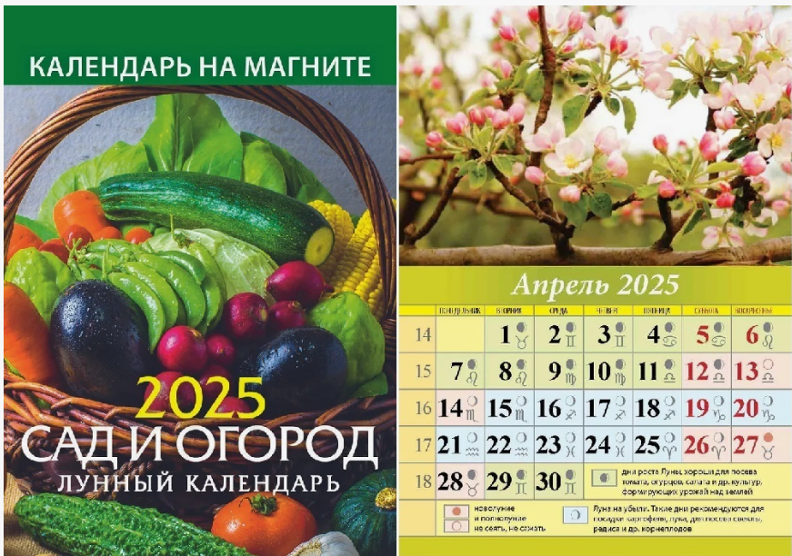 https://upforme.ru/uploads/0017/c4/20/2/983944.png