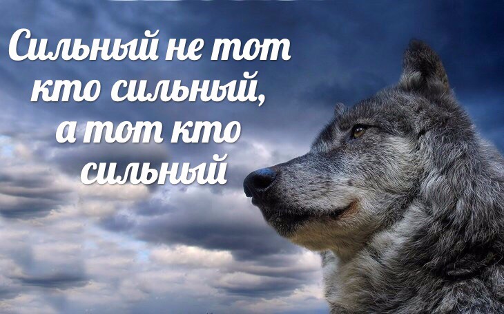https://upforme.ru/uploads/0017/c4/40/100/37749.jpg