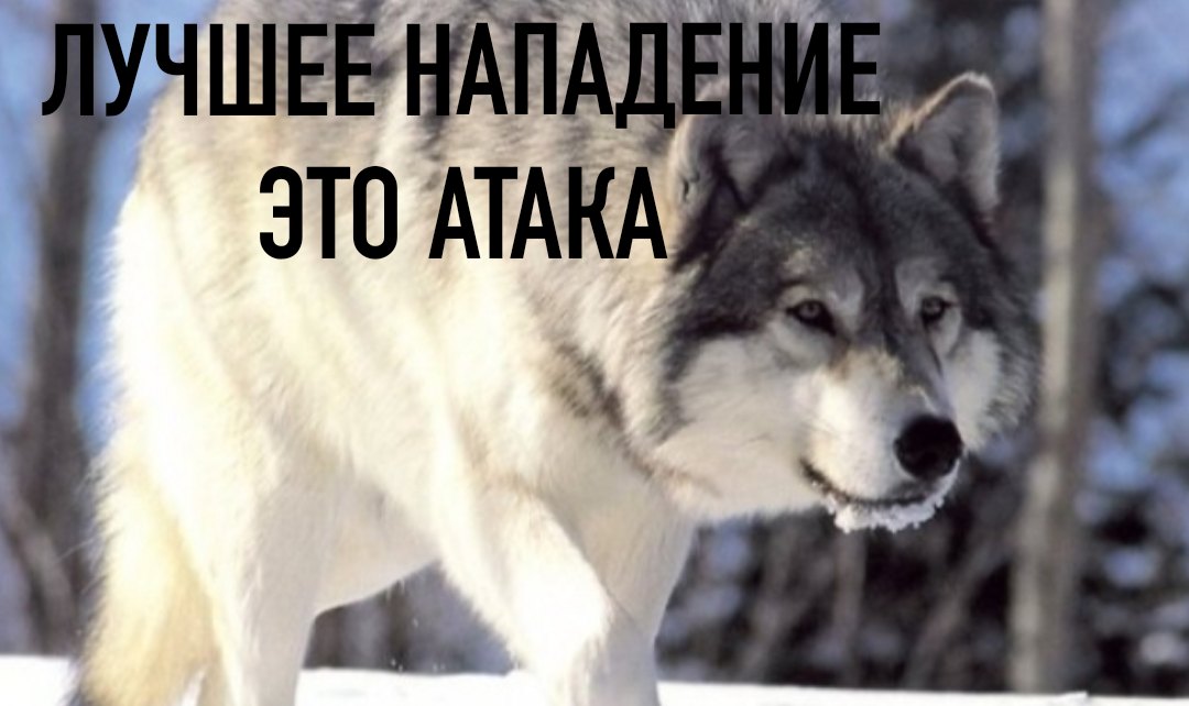 https://upforme.ru/uploads/0017/c4/40/100/46342.jpg
