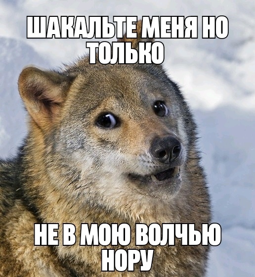 https://upforme.ru/uploads/0017/c4/40/100/63871.jpg