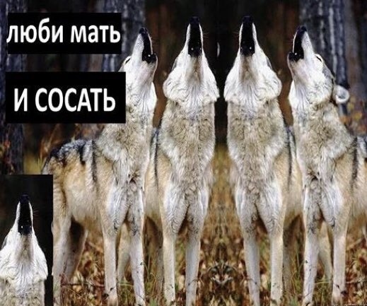 https://upforme.ru/uploads/0017/c4/40/559/82162.jpg