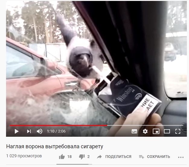 https://upforme.ru/uploads/0017/c4/40/622/36322.png
