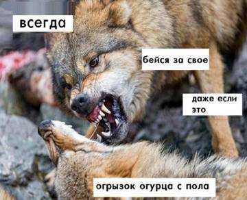 https://upforme.ru/uploads/0017/c4/40/624/t49950.jpg