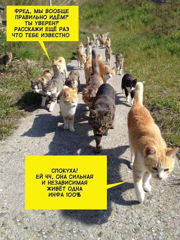 https://upforme.ru/uploads/0017/cd/0a/42/t347394.jpg