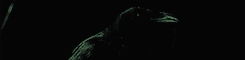https://upforme.ru/uploads/0017/d0/8d/2/863719.gif