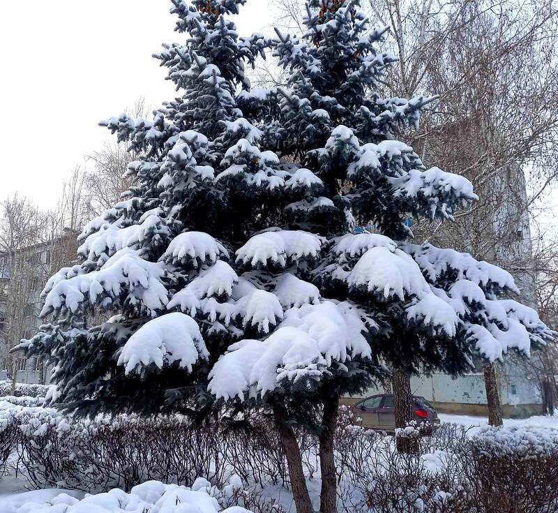 https://upforme.ru/uploads/0017/d2/91/11/421005.jpg