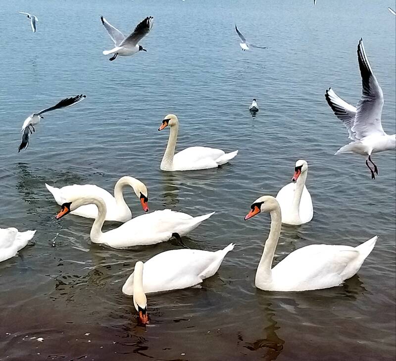 https://upforme.ru/uploads/0017/d2/91/11/612237.jpg