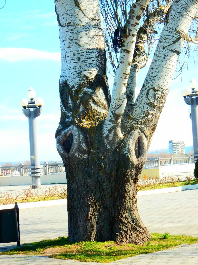 https://upforme.ru/uploads/0017/d2/91/11/749029.jpg